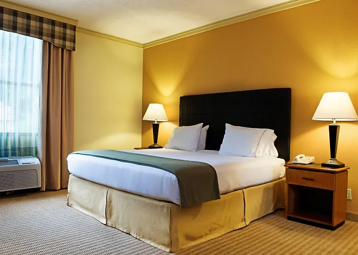 Holiday Inn Express Hotel & Suites Irving Dfw Airport North By Ihg